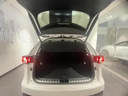Photo 8 Lexus Nx  300h 2WD Design MY21