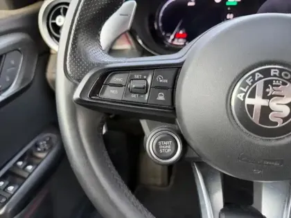 Photo 11 Alfa Romeo Tonale Edizione Speciale