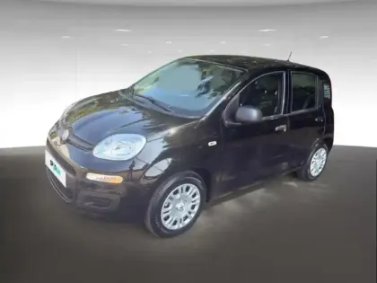 Photo Fiat Panda Icône