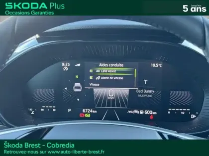 Photo 14 Skoda Fabia  1.0 TSI Evo2 116ch Clever Edition DSG7