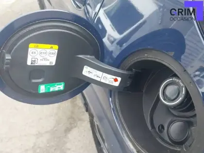Photo 19 Ford Puma  1.0 Flexifuel 125 ch mHEV S&S BVM6