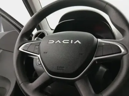 Photo 13 Dacia Spring  45ch Expression