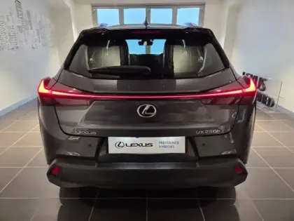 Photo 13 Lexus UX  250h Pack 2WD