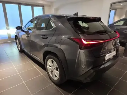 Photo 12 Lexus UX  250h Pack 2WD