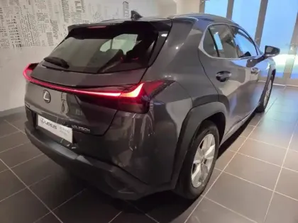 Photo 14 Lexus UX  250h Pack 2WD