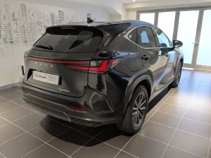 Photo 14 Lexus Nx  450h+ Luxe 4WD