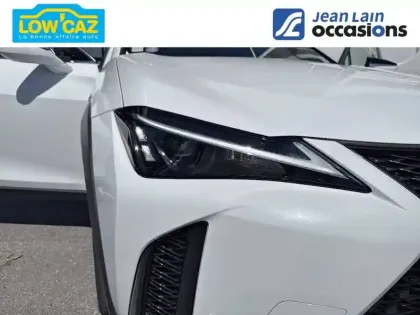 Photo 19 Lexus UX  250h 4WD