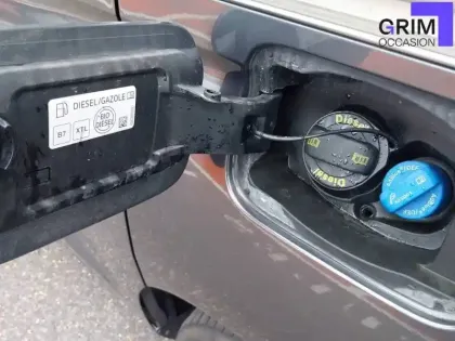 Photo 19 Ford Tourneo Grand  Connect 2.0 EcoBlue 102 BVM6