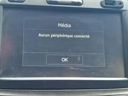 Photo 6 Dacia Sandero Stepway TCe 90 Easy-R