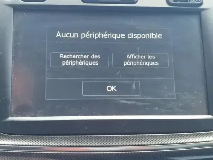 Photo 7 Dacia Sandero Stepway TCe 90 Easy-R