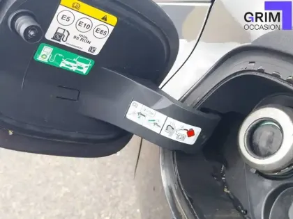 Photo 19 Ford Focus  1.0 Flexifuel 125 S&S mHEV 