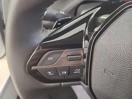 Photo 22 Peugeot 308  PHEV 180 e-EAT8