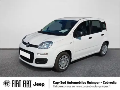 Photo Fiat Panda Icône