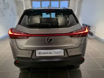 Photo 14 Lexus UX  250h Pack Business 2WD