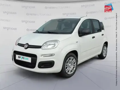 Photo Fiat Panda Icône