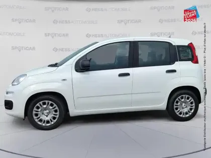Photo 8 Fiat Panda  Pandina 1.0 65ch BSG S&S Hybrid Icône