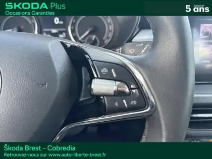 Photo 14 Skoda Fabia  1.0 MPI 80ch Ambition