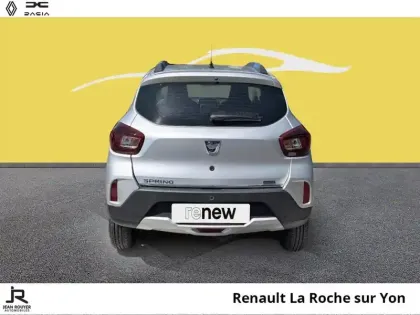 Photo 10 Dacia Spring  45ch Business 2020 - Achat Intégral