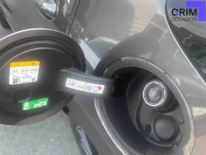 Photo 19 Ford Puma  1.0 Flexifuel 125 ch mHEV S&S BVM6
