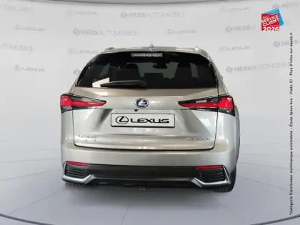 Photo 6 Lexus Nx  300h 4WD Executive Innovation MY21
