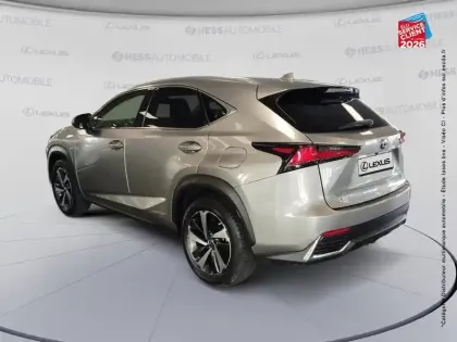 Photo 7 Lexus Nx  300h 4WD Executive Innovation MY21