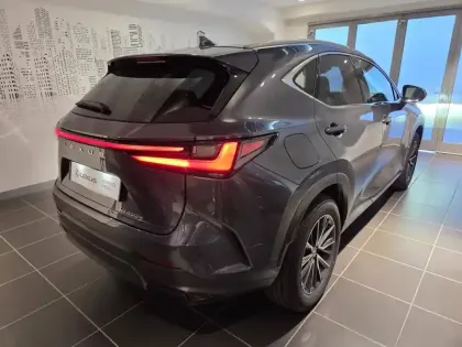 Photo 14 Lexus Nx  450h+ Luxe 4WD