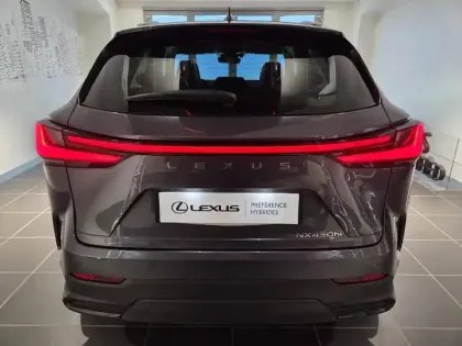 Photo 12 Lexus Nx  450h+ Luxe 4WD