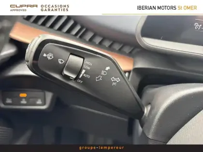 Photo 13 Cupra Tavascan  286ch 77 kWh V