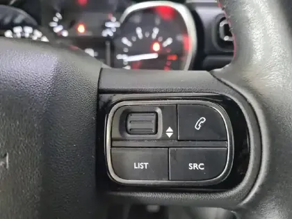Photo 46 Citroën C3  PureTech 110 S&S BVM6