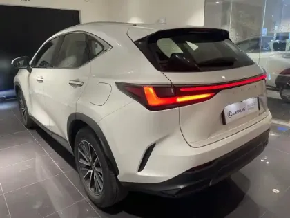 Photo 5 Lexus Nx  350h Pack Business 2WD MY24