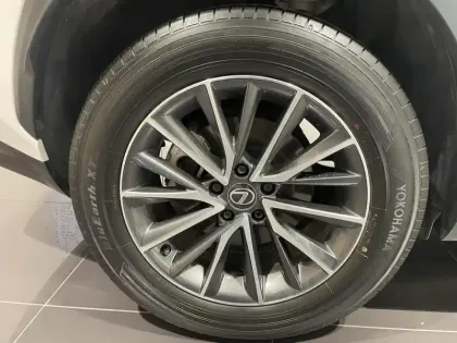 Photo 6 Lexus Nx  350h Pack Business 2WD MY24