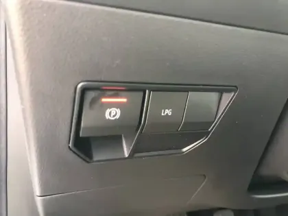 Photo 17 Dacia Duster  ECO-G 100