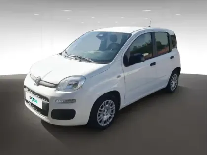 FIAT Panda Icône