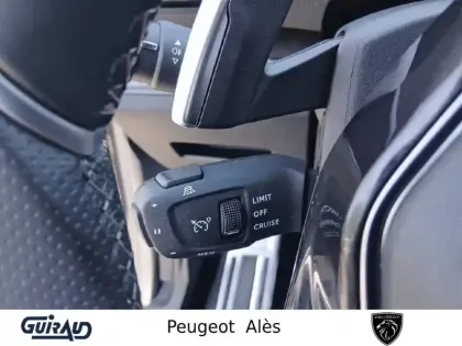 Photo 19 Peugeot 3008  PureTech 130ch S&S EAT8