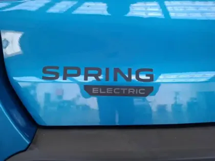 Photo 39 Dacia Spring 