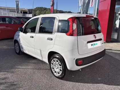 Photo 6 Fiat Panda  Pandina 1.0 65ch BSG S&S Hybrid Icône (Step1)