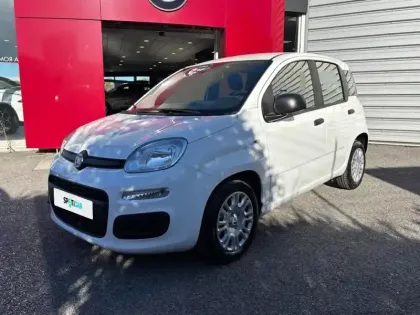 Photo Fiat Panda Icône