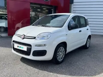 Photo Fiat Panda Icône