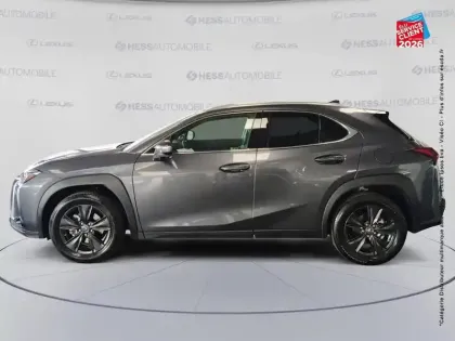 Photo 8 Lexus UX  250h Le 2WD