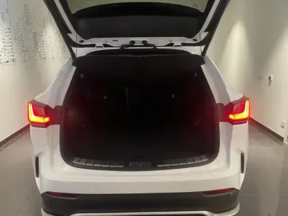 Photo 11 Lexus Nx  450h+ F SPORT Executive 4WD MY24