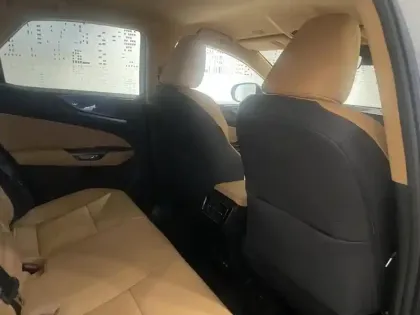 Photo 9 Lexus Nx  450h+ Luxe 4WD MY24