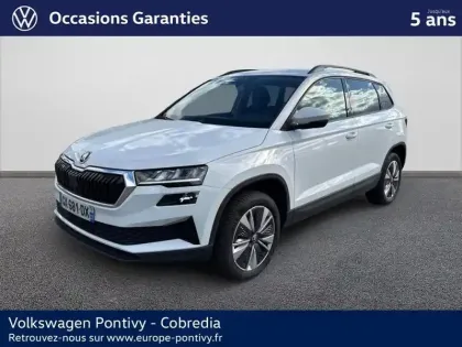 Photo Skoda Karoq Business