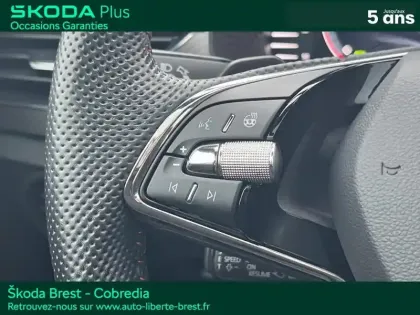 Photo 14 Skoda Kamiq  1.0 TSI Evo 110ch Monte-Carlo DSG7