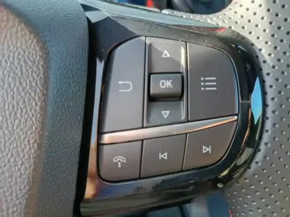 Photo 20 Ford Puma Nouveau 1.0 EcoBoost 125 ch mHEV S&S Powershift ST-Line