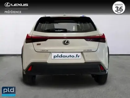 Photo 6 Lexus UX  250h 2WD Pack
