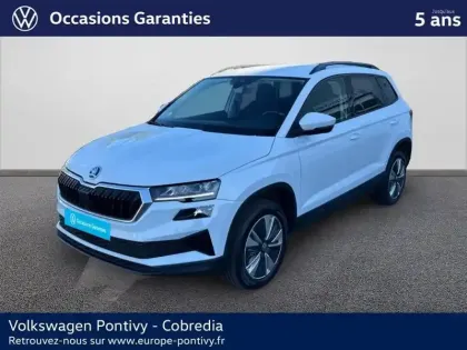Photo Skoda Karoq Business