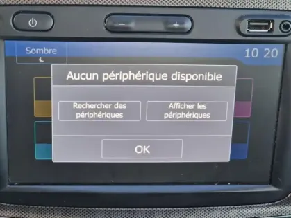 Photo 8 Dacia Sandero Stepway Blue dCi 95