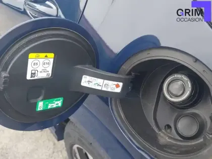 Photo 19 Ford Puma  1.0 EcoBoost 125 ch mHEV S&S Powershift