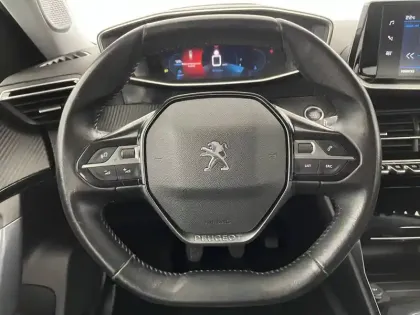 Photo 22 Peugeot 2008  BlueHDi 100 S&S BVM6