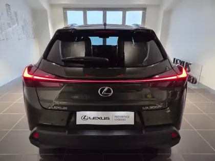 Photo 14 Lexus UX  300h Le 2WD MC25